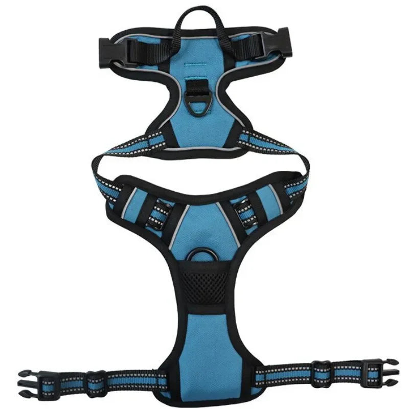 alt="Harnais bleu clair pour chien avec bandes réfléchissantes et système anti-traction intégré"